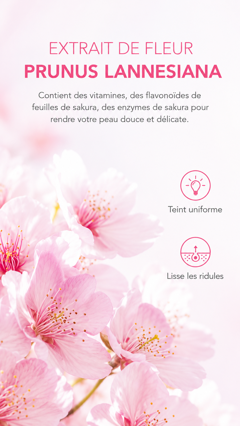 Derma Sakura — Gel Exfoliant Peeling